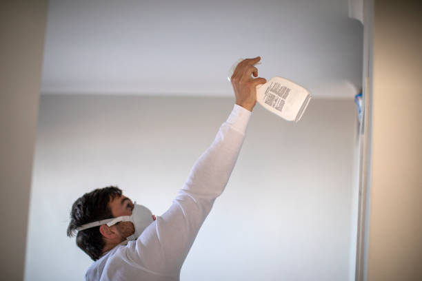 Best DIY Mold Remediation Support Services in Tazewell, VA