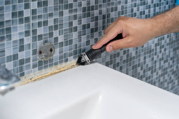 Best Black Mold Remediation in Tazewell, VA