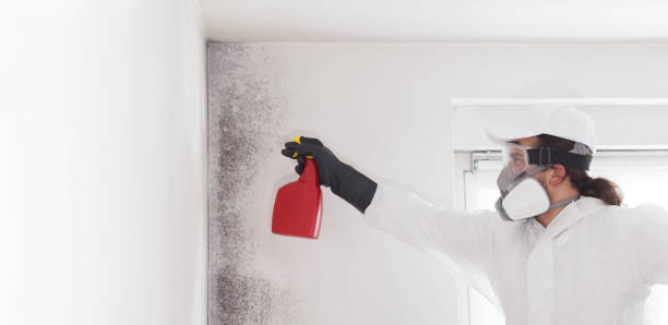Best Crawl Space Mold Remediation in Tazewell, VA