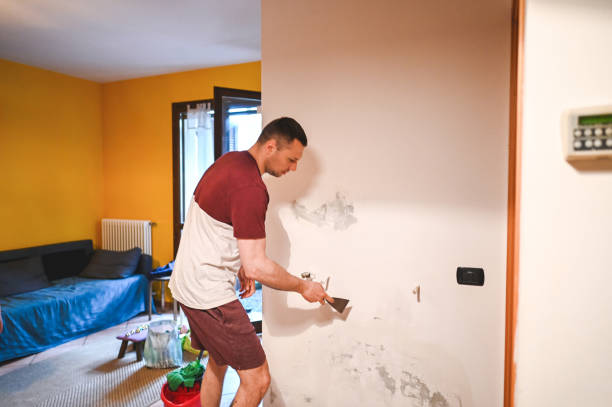 Best Residential Mold Remediation in Tazewell, VA